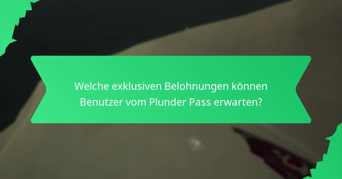 Wie schneidet der Plunder Pass im Vergleich zu anderen Treueprogrammen ab?